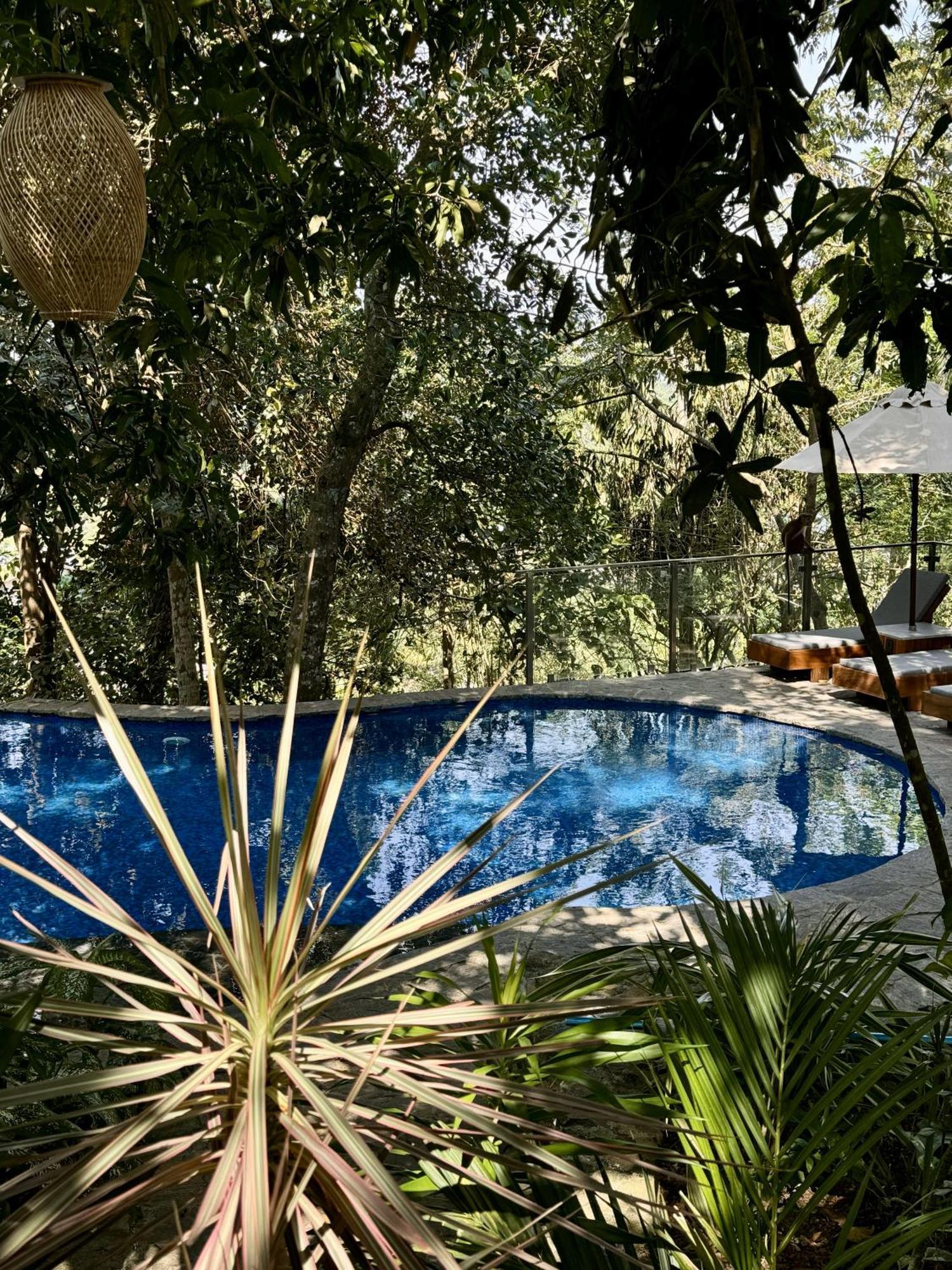 Coastline Mirissa Boutique Hotel And Spa Εξωτερικό φωτογραφία