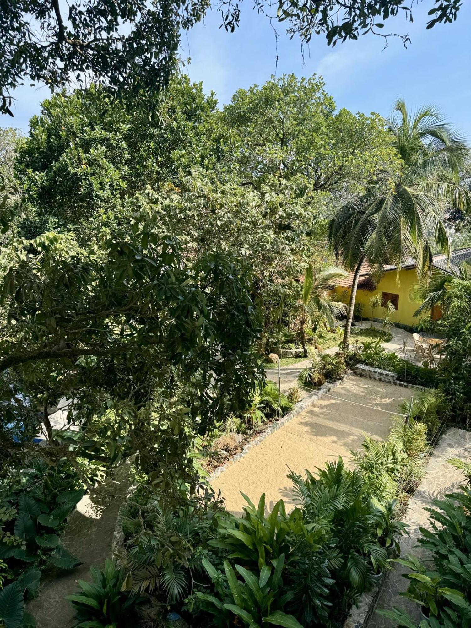 Coastline Mirissa Boutique Hotel And Spa Εξωτερικό φωτογραφία