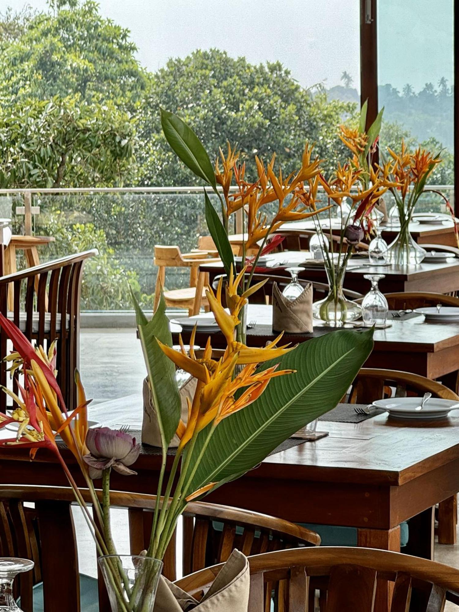 Coastline Mirissa Boutique Hotel And Spa Εξωτερικό φωτογραφία